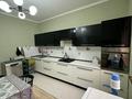Отдельный дом · 5 комнат · 249 м² · 17 сот., мкр Ерменсай, Талды 63 — Ул. Центральная за 1 млн ₸ в Алматы, Бостандыкский р-н — фото 14