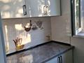 2-комнатная квартира · 48 м² · 3/5 этаж, 8-й микрорайон 15 — Уркимбаева Аскарова за 230 000 ₸ в Шымкенте, Туран р-н — фото 6