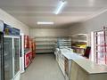 Жеке үй · 10 бөлме · 200 м² · 6 жүзд., Аққайнар 16, бағасы: 38 млн ₸ в Шалкар — фото 10