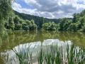 Участок · 23 сотки, мкр Кольсай — Haragun за 23 млн ₸ в Алматы, Медеуский р-н — фото 12