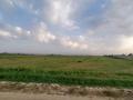 Участок · 4 га, Бурыл (Ровный)ауылы за 5.5 млн ₸ в Таразе — фото 2