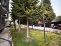7-бөлмелі пәтер · 500 м² · 4/5 қабат, Оспанова 69, бағасы: 1.8 млн ₸ в Алматы, Медеуский р-н — фото 4