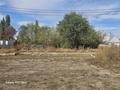 Участок · 6 соток, Абдигулова за 13 млн ₸ в Бельбулаке (Мичурино) — фото 4