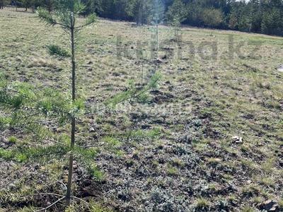 Жер телімдері в Акмолинской обл.: Жер телімі · 12 сотық, Луговая 14 31, бағасы: 4.5 млн 〒 Жер телімі · 12 сотық, Луговая 14 31, бағасы: 4.5 млн 〒 в Кокшетау