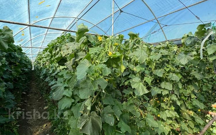 Өнеркәсіптік база · 30000 сотық, пос Кенеса Нокина 490, бағасы: 580 млн ₸ в Актюбинской обл. — фото 16