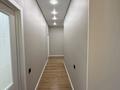 2-бөлмелі пәтер · 58 м² · 7/10 қабат, Айнакол 66/1, бағасы: 35 млн ₸ в Астане, Алматы р-н — фото 12