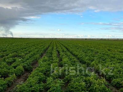 Сельское хозяйство • 36400 м² за 500 млн 〒 в Заре