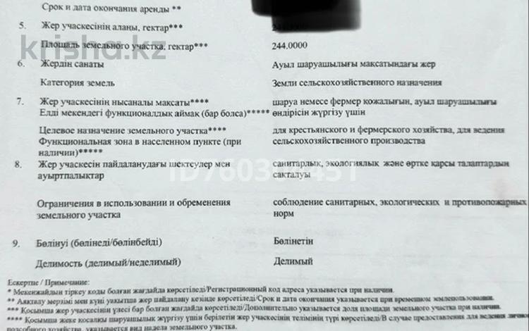 Участок · 244 га, 1а за 25 млн ₸ в Большом Чагане — фото 2
