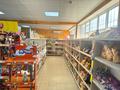 Магазины и бутики • 250 м² за 220 млн 〒 в Шымкенте, Каратауский р-н — фото 6