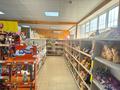 Магазины и бутики · 250 м² за 180 млн ₸ в Шымкенте, Каратауский р-н — фото 6