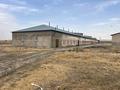 Сельское хозяйство · 1000 м² за 45 млн ₸ в Коксаеке — фото 24