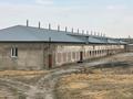 Сельское хозяйство · 1000 м² за 45 млн ₸ в Коксаеке — фото 29