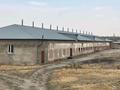 Сельское хозяйство · 1000 м² за 45 млн ₸ в Коксаеке — фото 30