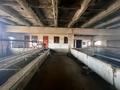 Сельское хозяйство · 1000 м² за 45 млн ₸ в Коксаеке — фото 8