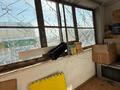 Свободное назначение · 115.5 м² за 60 млн 〒 в Костанае — фото 19