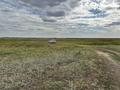Жер телімі · 10 га, Арайлы, бағасы: 62 млн ₸ — фото 15