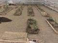 Свободное назначение · 270 м² за 7 млн ₸ в Актюбинской обл., Комсомольское — фото 2