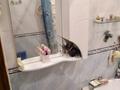 2-бөлмелі пәтер · 54 м² · 2/5 қабат, 11-ш/а. 16, бағасы: 15.1 млн ₸ в Актау, 11-й мкр — фото 6