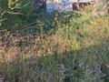Возьму в аренду помещение, Толстого 3/2 в Астане, р-н Байконур — фото 5
