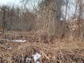 Дача · 1 комната · 10 м², мкр Кенсай за 3 млн ₸ в Алматы, Медеуский р-н — фото 3