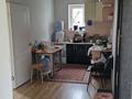 Отдельный дом · 2 комнаты · 50 м² · 10 сот., Арал 42 — Выше дандосова 1,5 км за 280 000 ₸ в Алматы, Наурызбайский р-н — фото 5