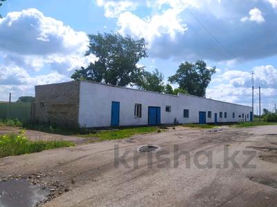 Қоймалар, жқб, автосервистер мен көлік жуу · 617.3 м², бағасы: 25 млн ₸ в Сергеевке