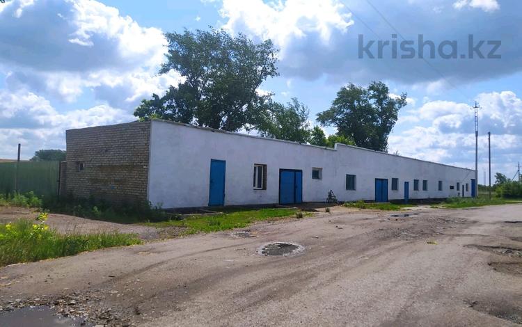 Қоймалар, жқб, автосервистер мен көлік жуу · 617.3 м², бағасы: 25 млн ₸ в Сергеевке — фото 2