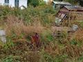 Жеке үй · 3 бөлме · 47.3 м² · 10.13 жүзд., Переулок Околоток, уч 9, 9, бағасы: 45 млн ₸ в Семее — фото 18