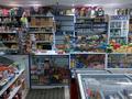 Магазины и бутики • 58 м² за 48 млн 〒 в Астане, Сарыарка р-н — фото 2