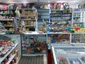 Магазины и бутики • 58 м² за 48 млн 〒 в Астане, Сарыарка р-н — фото 5