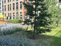 1-комнатная квартира · 41 м² · 12/14 этаж, Анет баба за 30 млн ₸ в Астане, Есильский р-н — фото 20