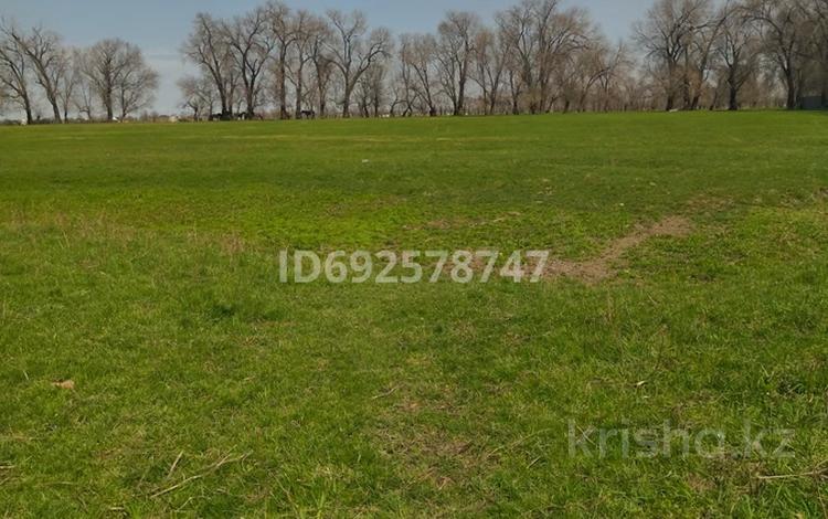 Жер телімі · 2 га, Теренкара, бағасы: 25 млн ₸ — фото 3