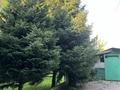 Отдельный дом · 6 комнат · 160 м², Кабанбай батыра 77 за 49 млн ₸ в Талгаре — фото 2