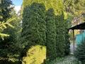 Отдельный дом · 6 комнат · 160 м², Кабанбай батыра 77 за 49 млн ₸ в Талгаре — фото 3