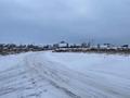 Участок · 4 сотки, ОО Садовод-любитель ‘Притобольский’ уч 465 за 5 млн ₸ в Костанае — фото 10