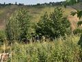 Саяжай · 4 бөлме · 150 м² · 25 жүзд., Садовод 724 — ГОРНЫЙ САДОВОД дачи, бағасы: 11 млн ₸ в Алматы — фото 7