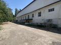 Завод · 2 га, Журунова 65б за 1 500 ₸ в Каргалы (п. Фабричный) — фото 5