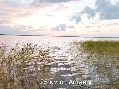 Участок · 15 соток, Бозайгыр за 5.5 млн ₸