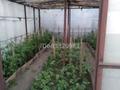 Жеке үй · 3 бөлме · 60 м² · 6 сот., Бажова 93, бағасы: 29.9 млн ₸ в Усть-Каменогорске — фото 24
