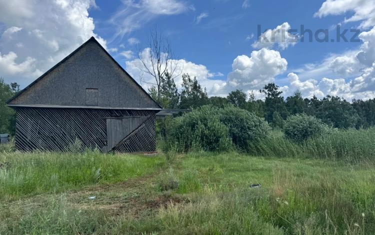 Жер телімі · 10 га, Спортивная, бағасы: 3.8 млн ₸ в Бишкуле (Бесколь) — фото 7