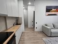 2-комнатная квартира · 45 м² · 15/18 этаж, Е-36 6 — Читайте условия пожалуйста. за 250 000 ₸ в Астане, Нура р-н — фото 7