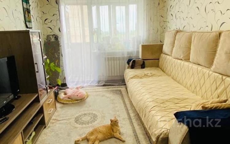 3-бөлмелі пәтер · 51 м² · 5/5 қабат, 13-шағынаудан, бағасы: 11.5 млн ₸ в Караганде, Алихана Бокейханова р-н — фото 3