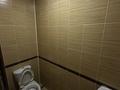 Отдельный дом · 10 комнат · 385.7 м² · 4 сот., мкр Рахат 57 — Центральная/дружба за 165 млн ₸ в Алматы, Наурызбайский р-н — фото 17