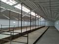 Отдельный дом · 4 комнаты · 600 м² · 600 сот., Курмансай 50 — Село Курмансай за ~ 77.8 млн 〒 в Мартуке — фото 17