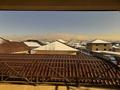 Отдельный дом · 5 комнат · 260 м² · 6 сот., Исатай Батыра за 150 млн ₸ в Туздыбастау (Калинино) — фото 22