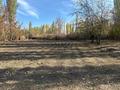 Жеке үй · 4 бөлме · 150 м² · 50 жүзд., Терс Бектемисова 38 — Село Терс, бағасы: 10 млн ₸ в Бауыржан Момышулы — фото 24