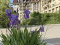 2-комнатная квартира · 50.6 м² · 2/10 этаж, Омарова 39 за 40.5 млн ₸ в Алматы, Медеуский р-н — фото 12
