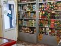 Магазины и бутики · 48 м² за 16.5 млн ₸ в Рудном — фото 5