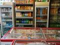 Магазины и бутики · 48 м² за 16.5 млн ₸ в Рудном — фото 7