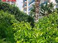 3-комнатная квартира · 158 м² · 5 этаж, Türkiye, Alanya, Mahmutlar, Sarıhasanlı Cd. 86 за ~ 135.6 млн ₸ в Аланье — фото 56